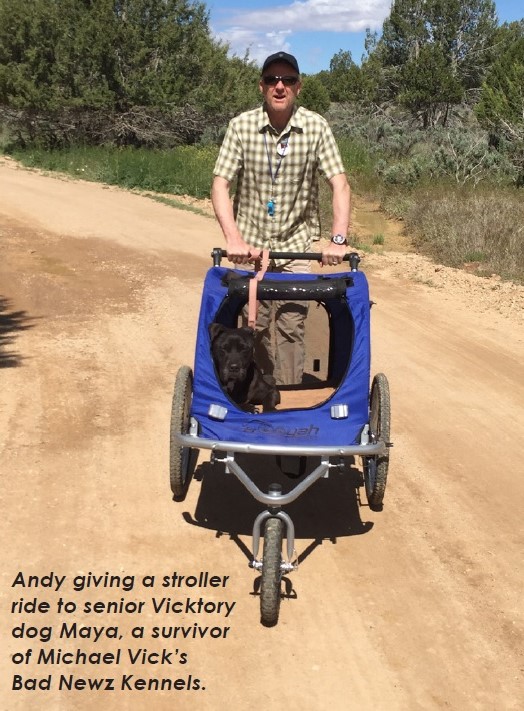 Andy with dog stroller at Best Friends